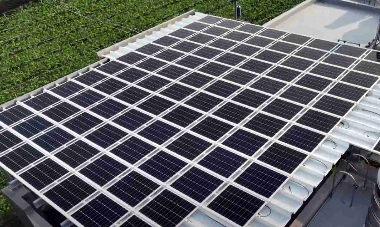 龙门国际SunSteel光电浪板升级双玻结构，，，，以提升机械负载强度及气候耐候度，，可广泛运用于多元场域