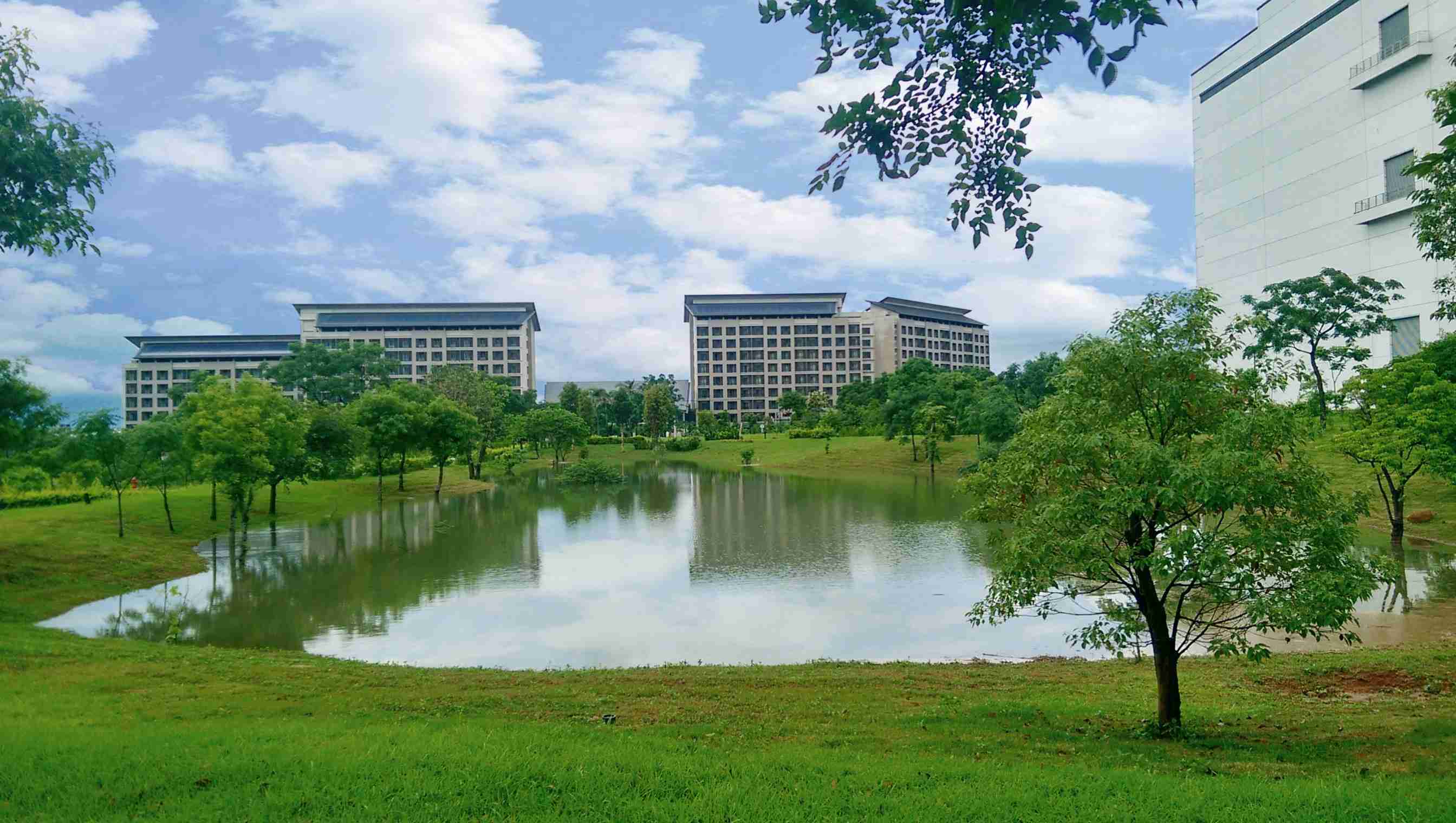 龙门国际响应国际倡议生物多样性趋势，，，首次发布TNFD自然相关财务揭露报告书，，，，擘划及开展龙门国际生物多样性政策之承诺，，，，逐步迈向与自然和谐共生